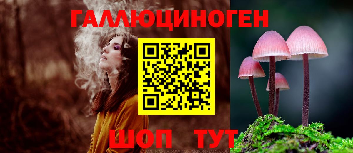 Псилоцибиновые грибы Cubensis  Вход с VPN  Новодвинск 